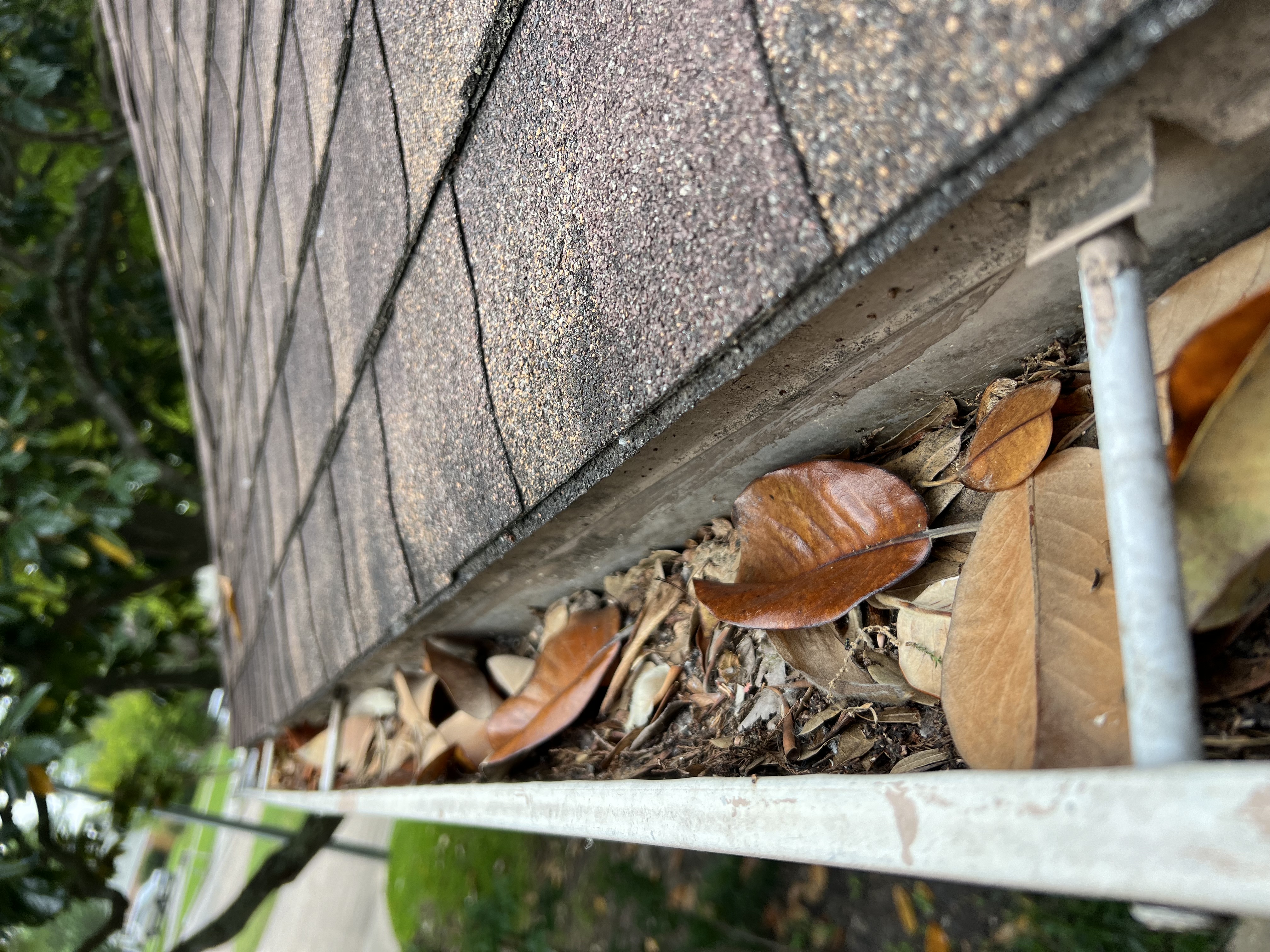 Superb Gutter Cleaning Montgomery, Texas
